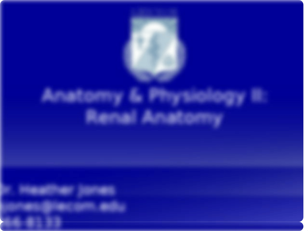 Renal Anatomy 2019.pptx_d2o6uzm2ojz_page1