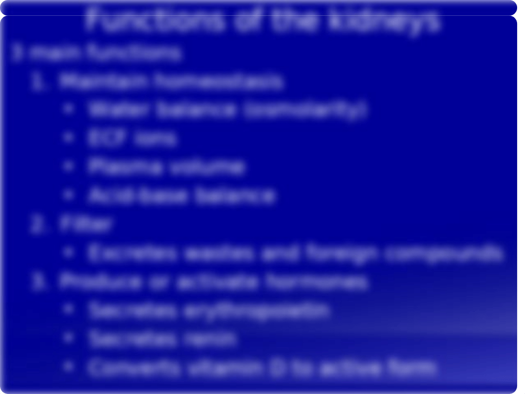 Renal Anatomy 2019.pptx_d2o6uzm2ojz_page3