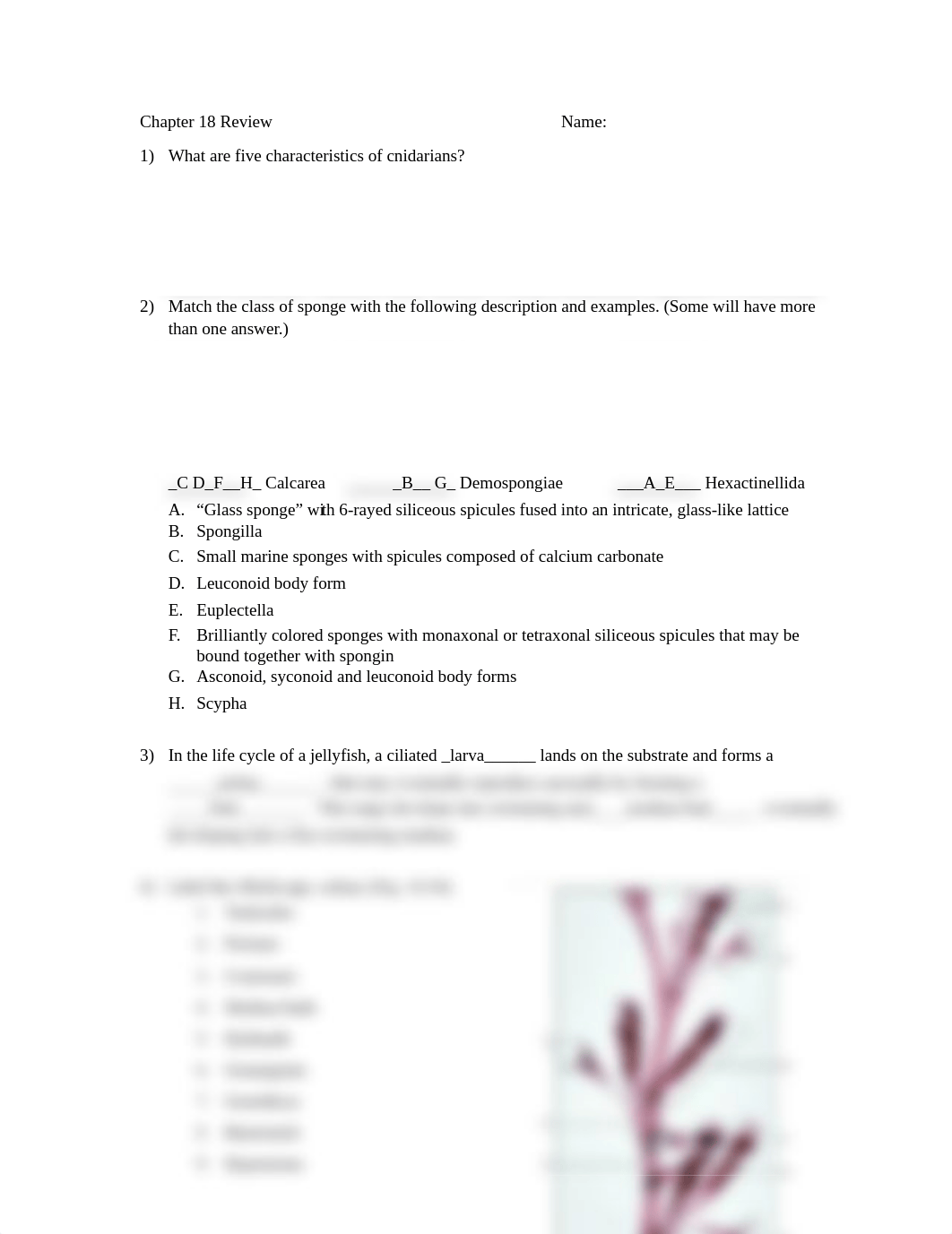 BIOL156 LAB_Chapter18 Review.pdf_d2o8bwhc0qi_page1