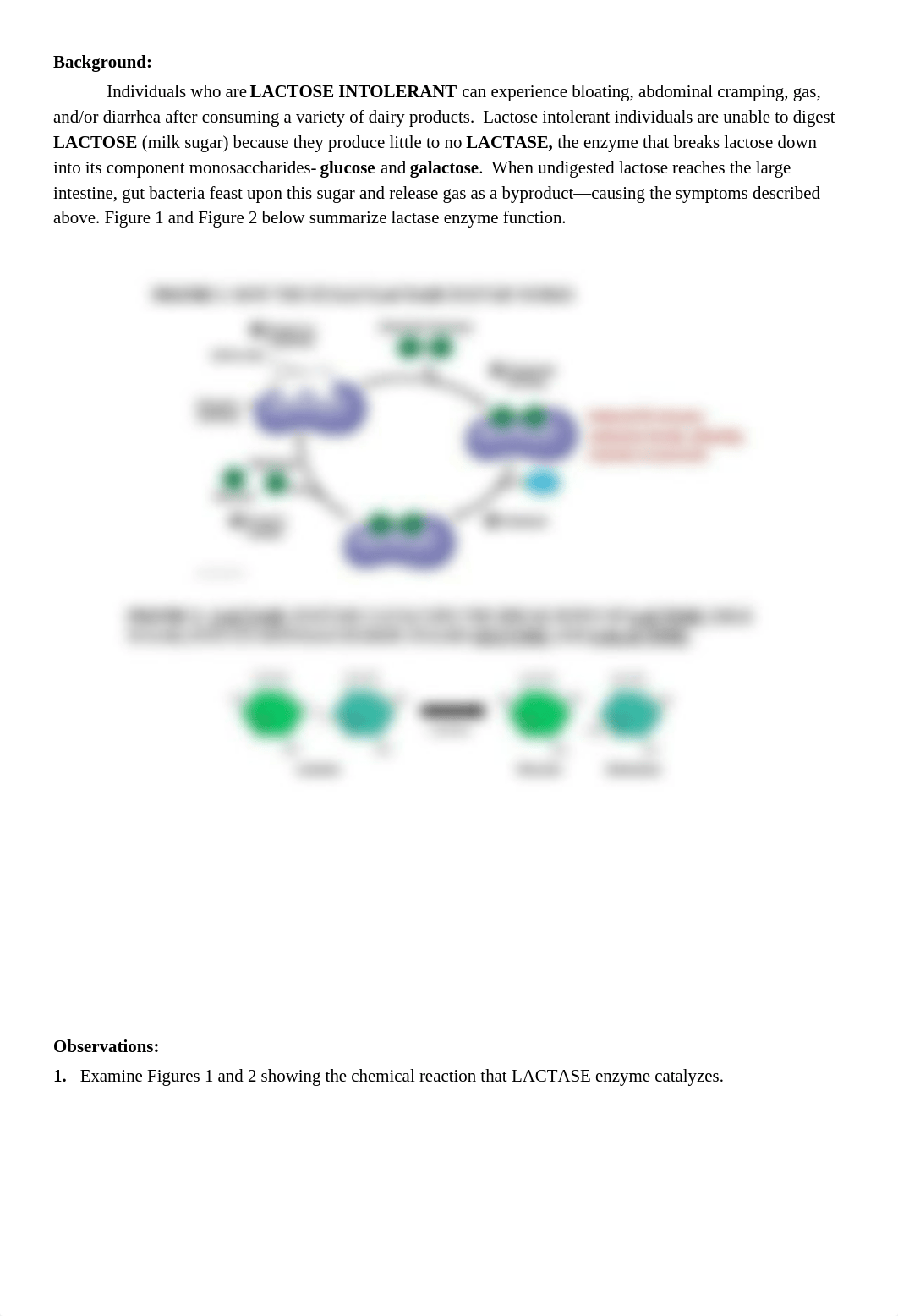 BIOL 1020 Enzymes and Biomolecules Lab Spring 2022.docx_d2oclisn9q0_page2