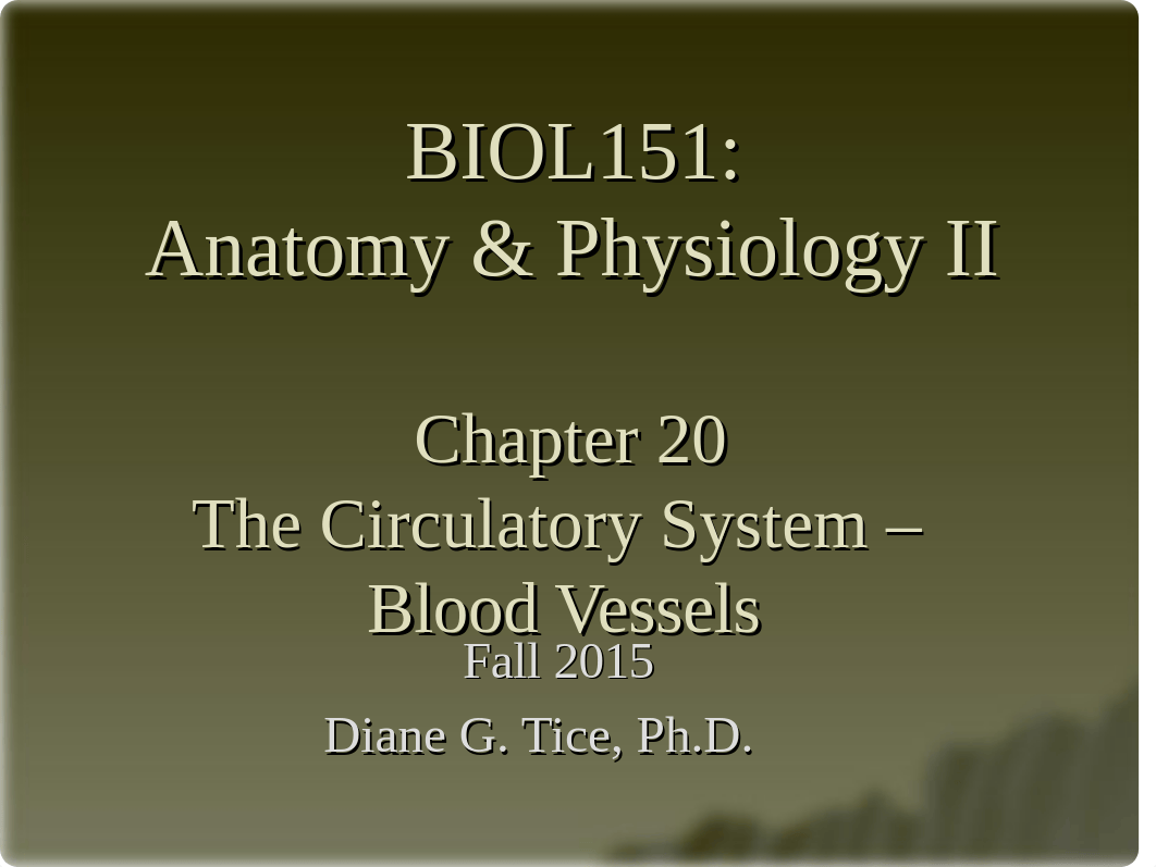 Chapter 20 - The Circulatory System - Blood Vessels_d2ocplc96hk_page1