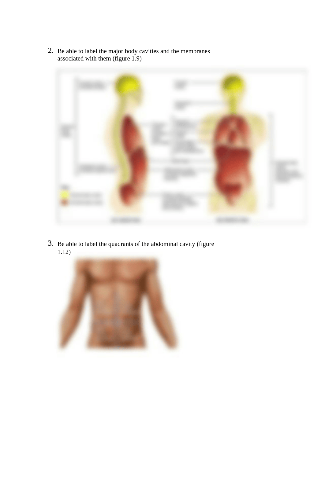 Exam 1 study guide_d2oeegdxuqf_page2