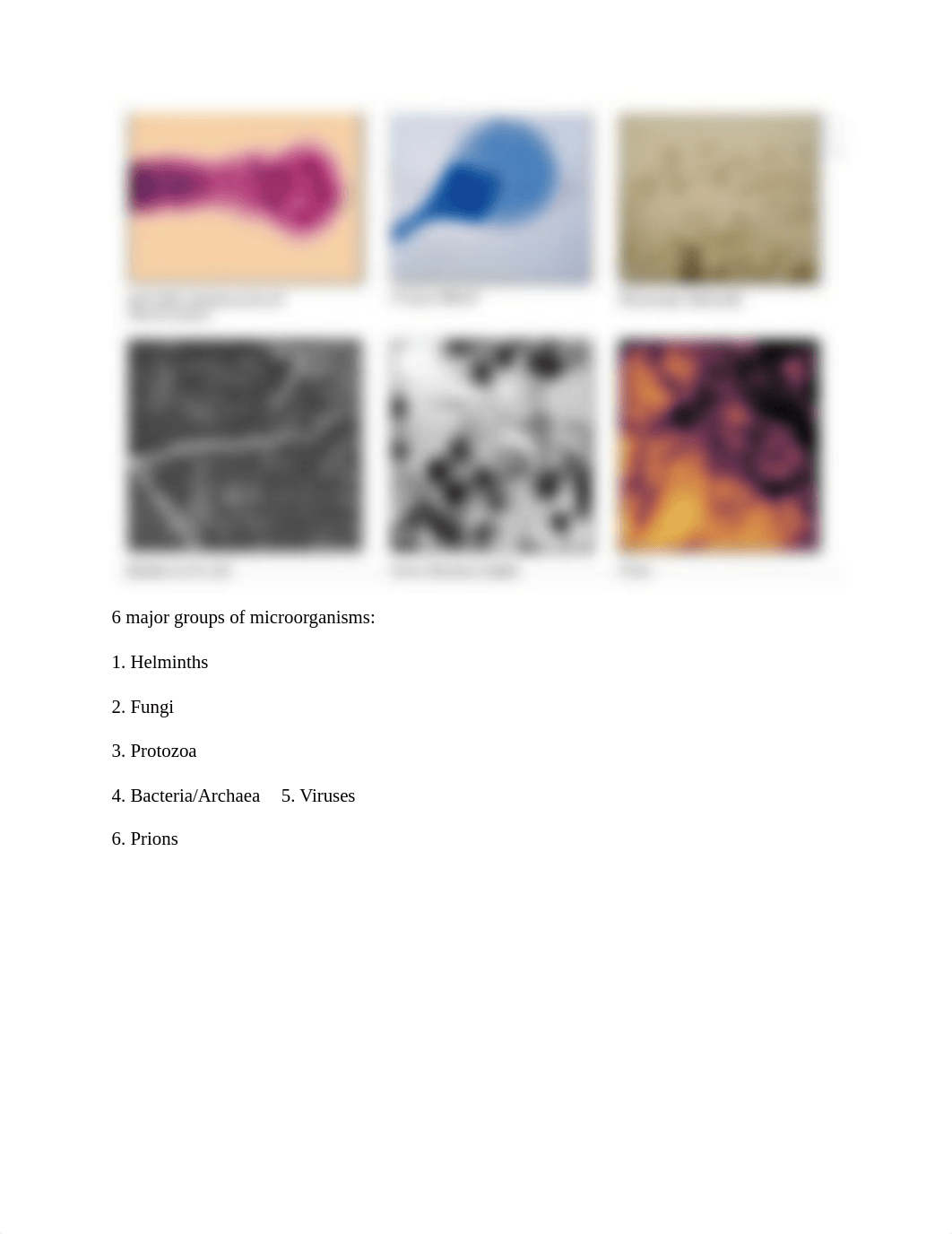 Untitled document-16.pdf_d2okbighhgr_page2