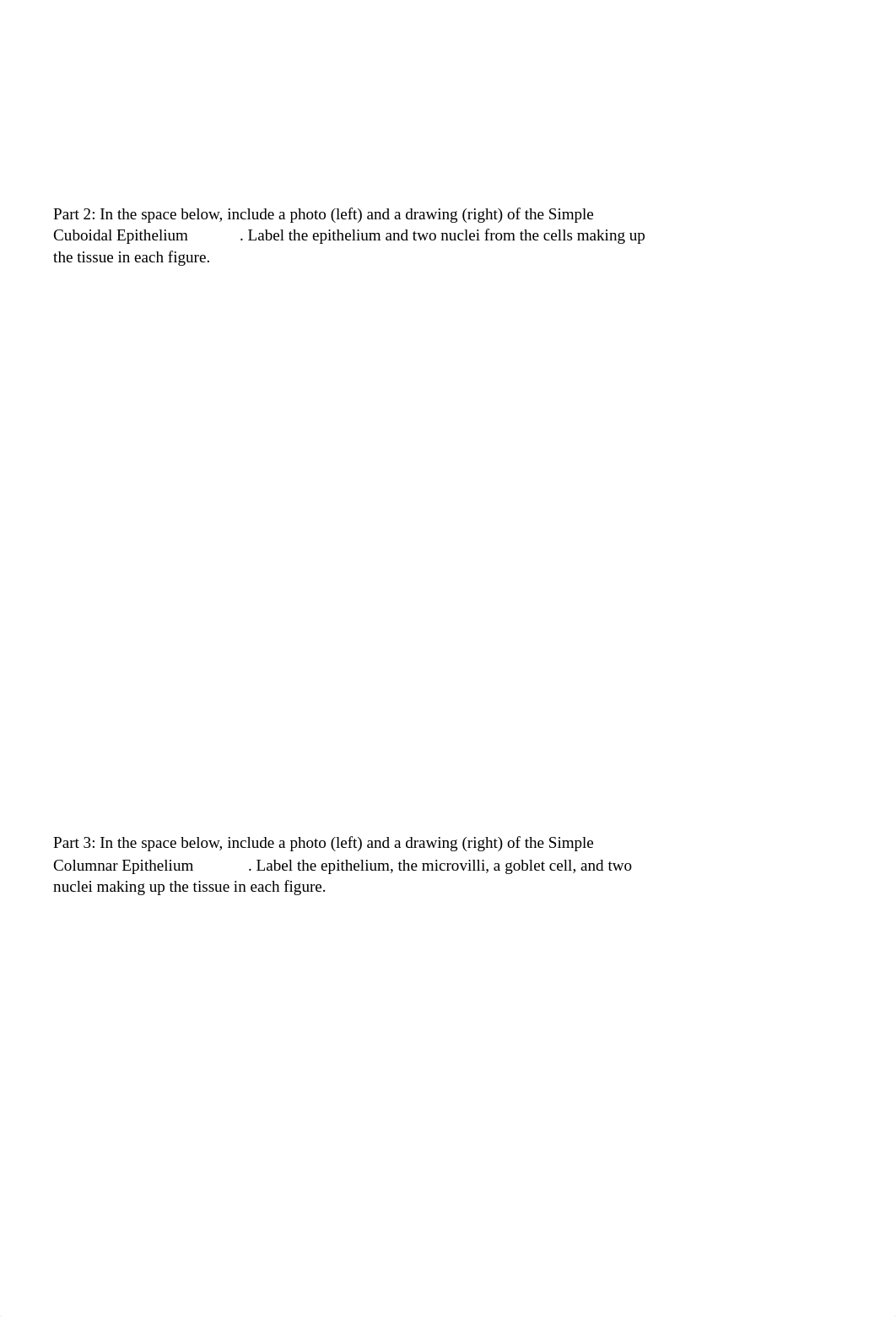 Assignment 7 - cell labeling_d2p1ip1nnh7_page2