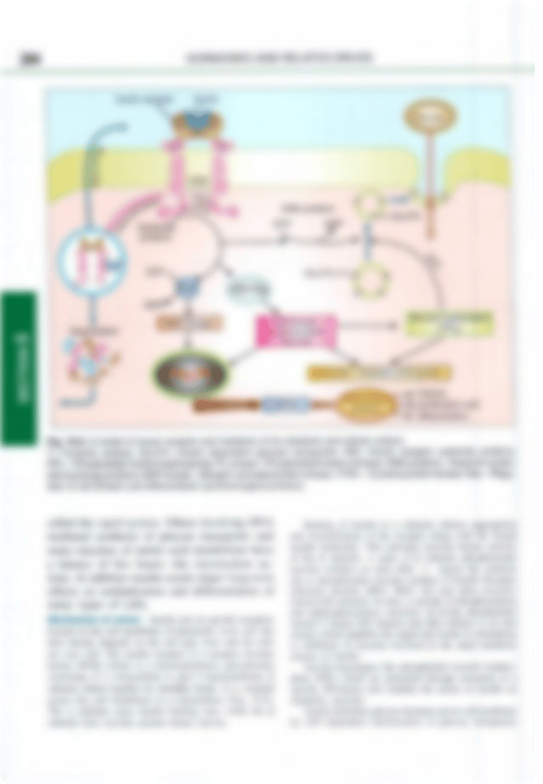 KD Tripathi Essential of Medical Pharmacology. 8th edition -301-600.pdf_d2p1q0r57fj_page1