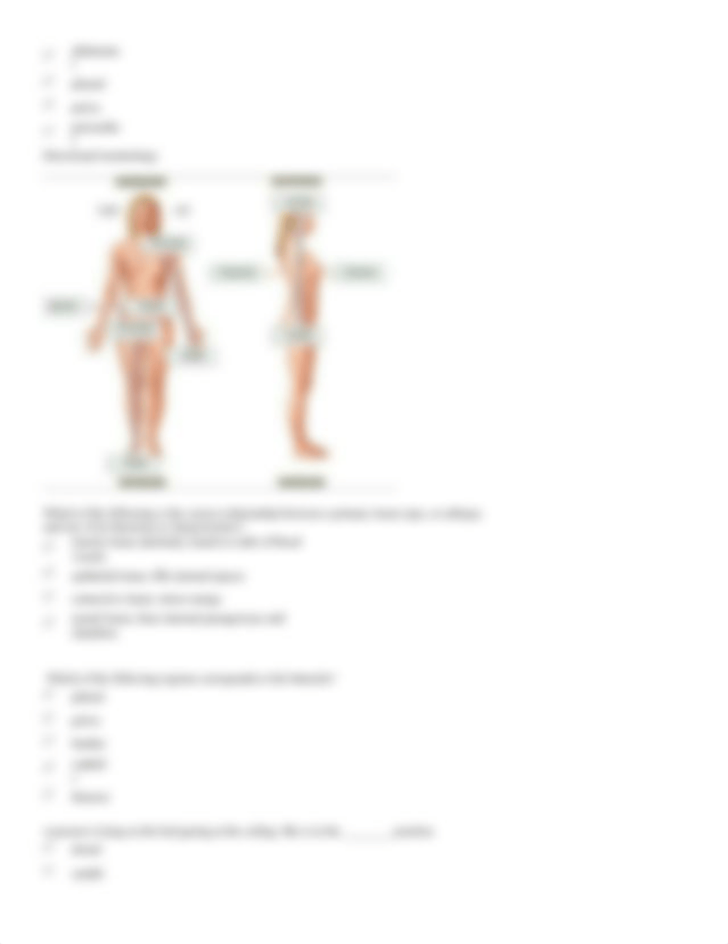 Chapter 1 Study Guide_d2p98wekese_page5