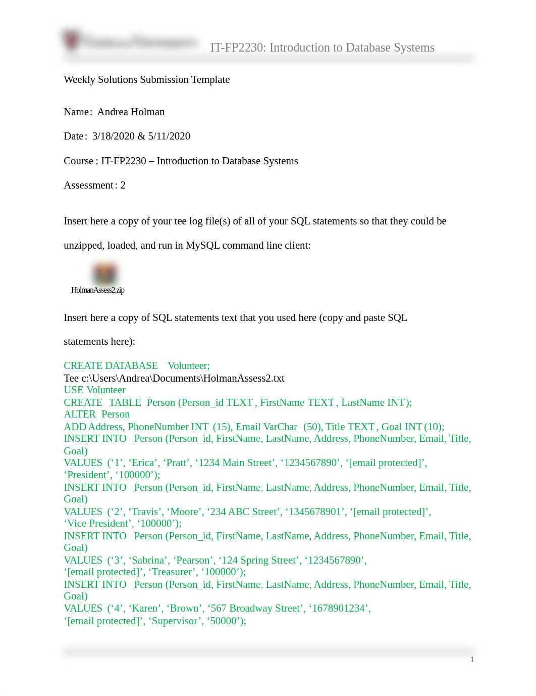IT-FP2230_HolmanAndrea_assessment2-1.docx_d2pb2e4fhzq_page1