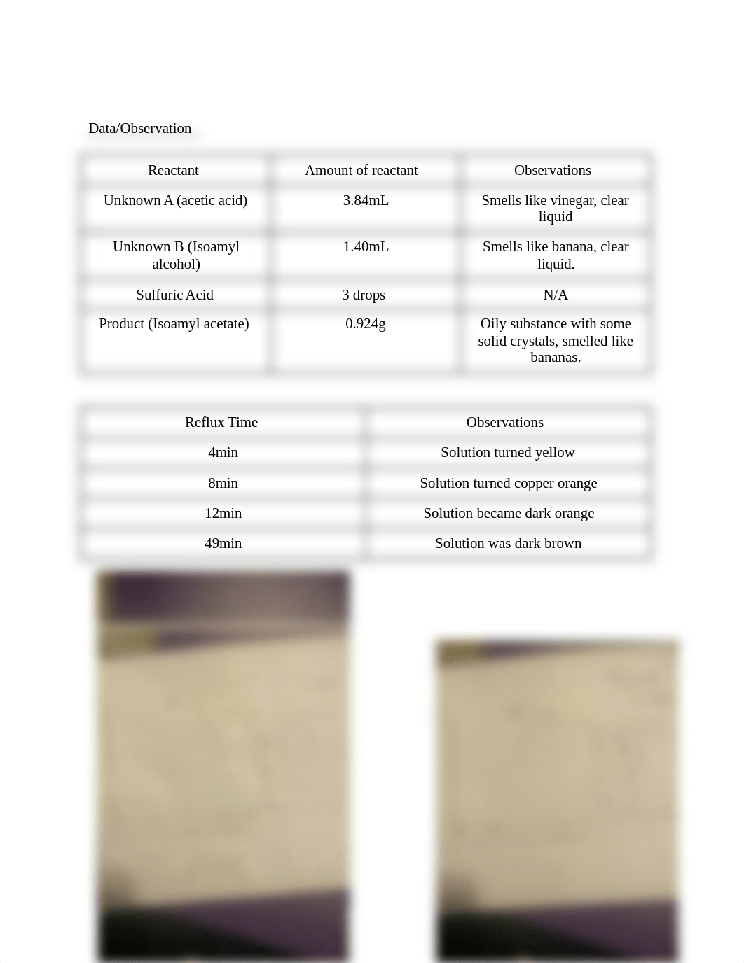 fischer esterification lab report .docx_d2pbli6gale_page2