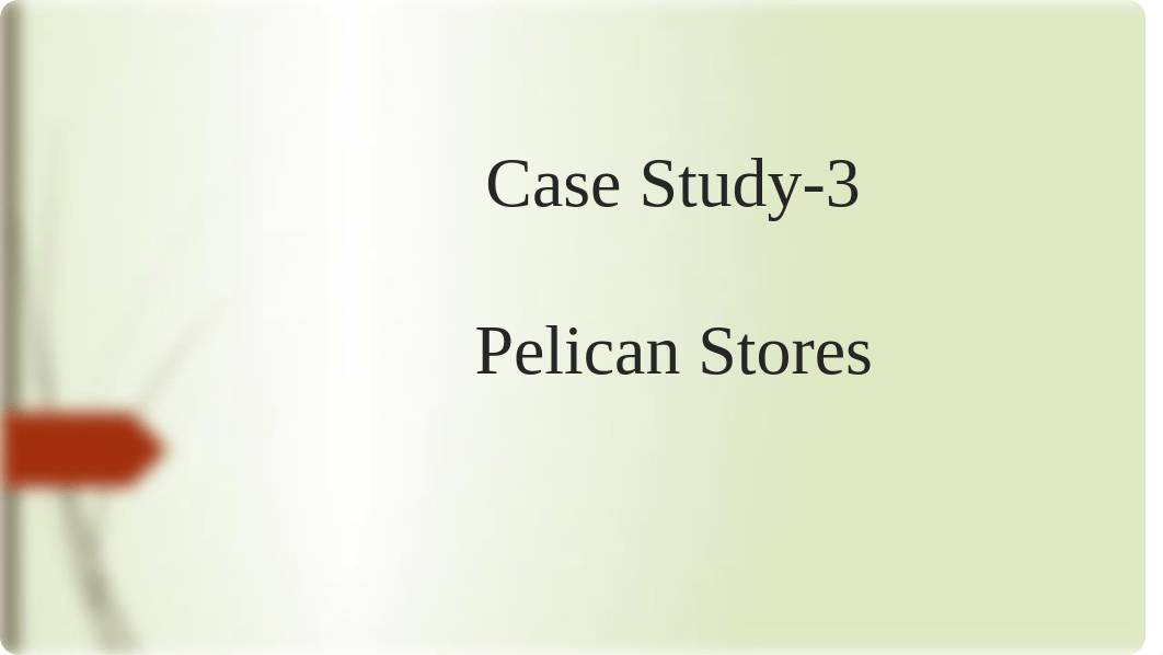 Case Study-3-Pelican Stores.pptx_d2pla00d60r_page1