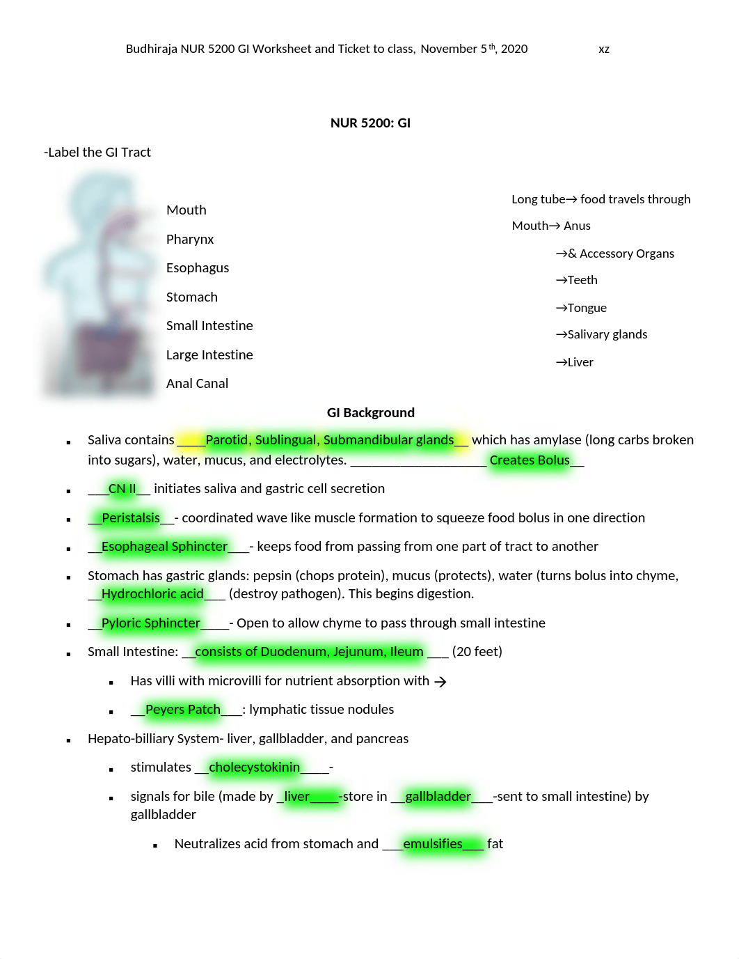 NUR 5200 GI Worksheet and Ticket to class.docx_d2pt7m9osvu_page1