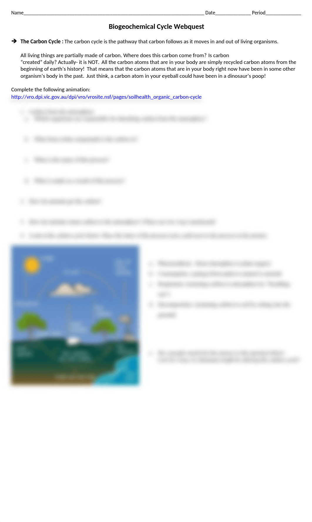 Biology Biogeochemical Cycle Webquest.doc_d2pv2gjhvt6_page1