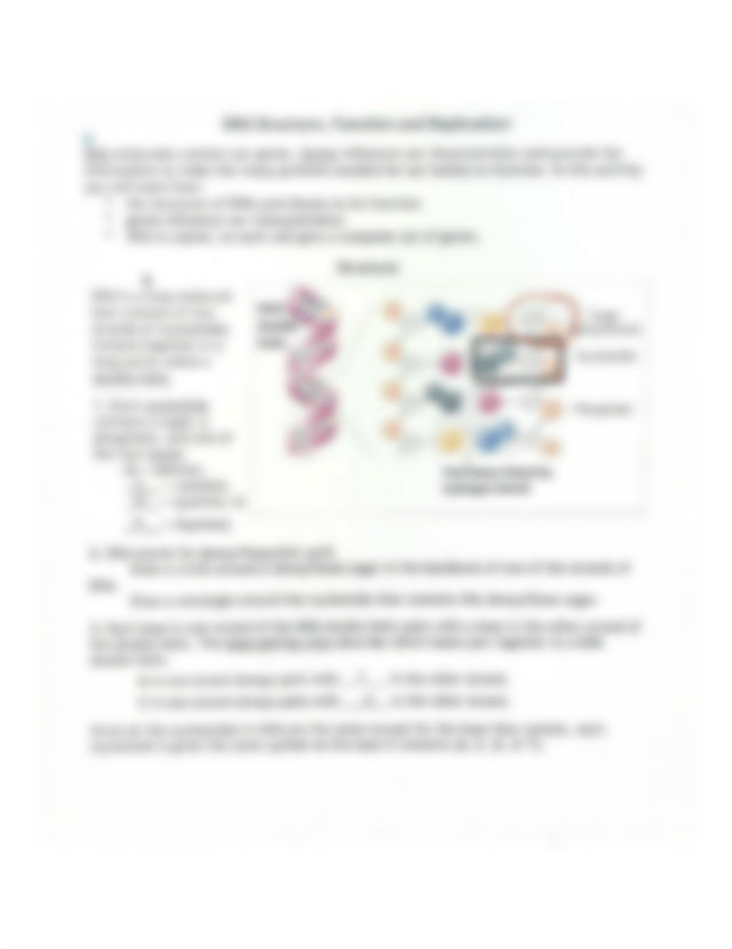 DNA Structure, Function and Replication1.pdf_d2q1gzlepuk_page1