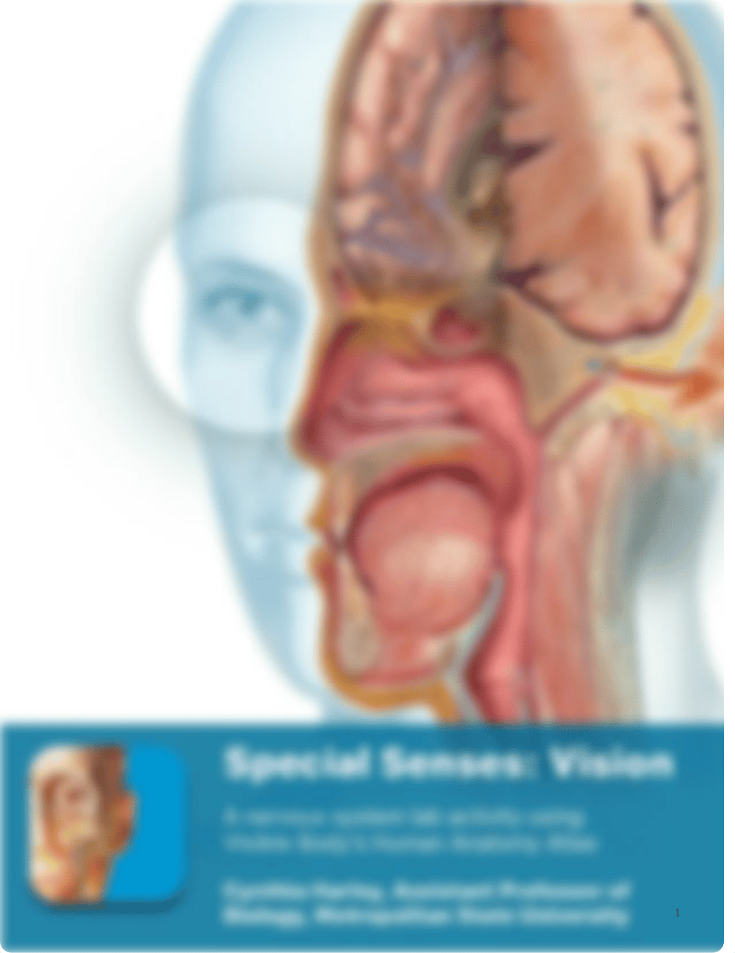 lab manual_senses eye_atlas copy Bio 200-L23.pdf_d2q8l9b4s9w_page1