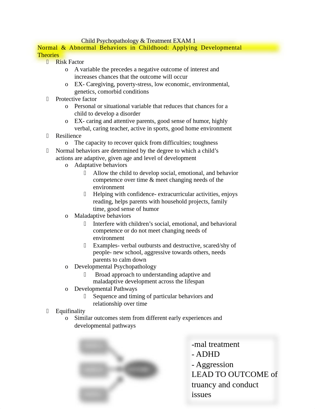 Child Psychopathology EXAM 1 study guide .docx_d2qe1lhr86k_page1