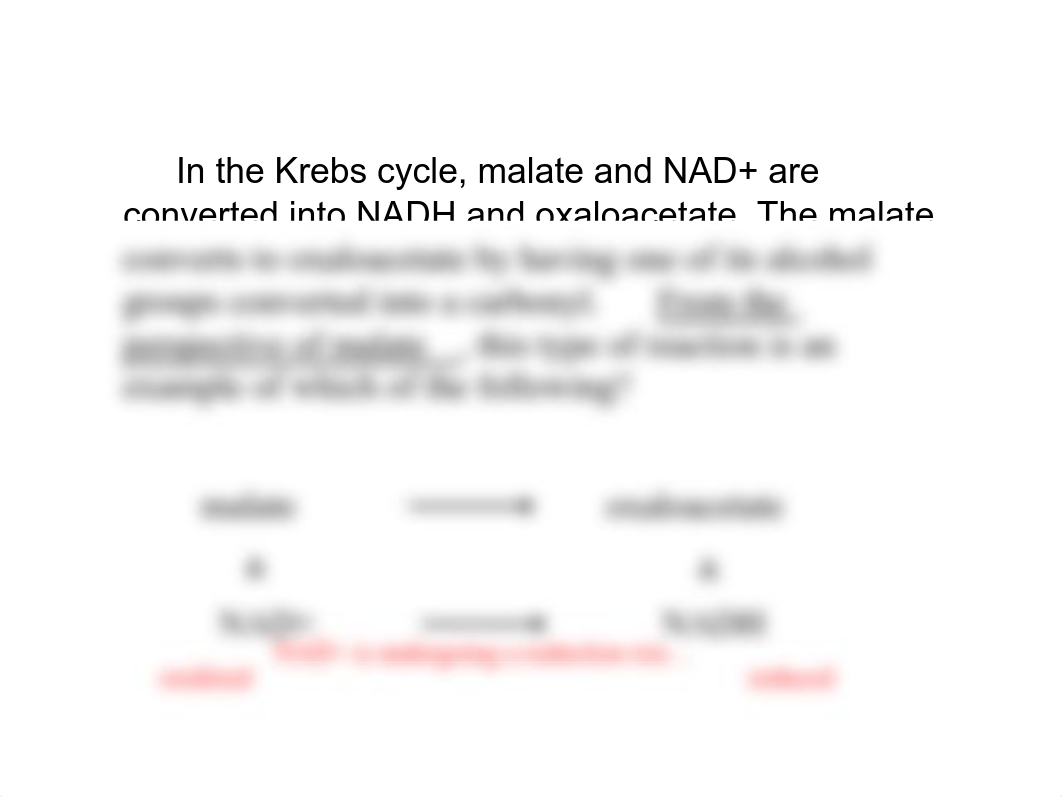 Lecture 6 Clicker Q&A .pdf_d2qgzkit5i8_page3