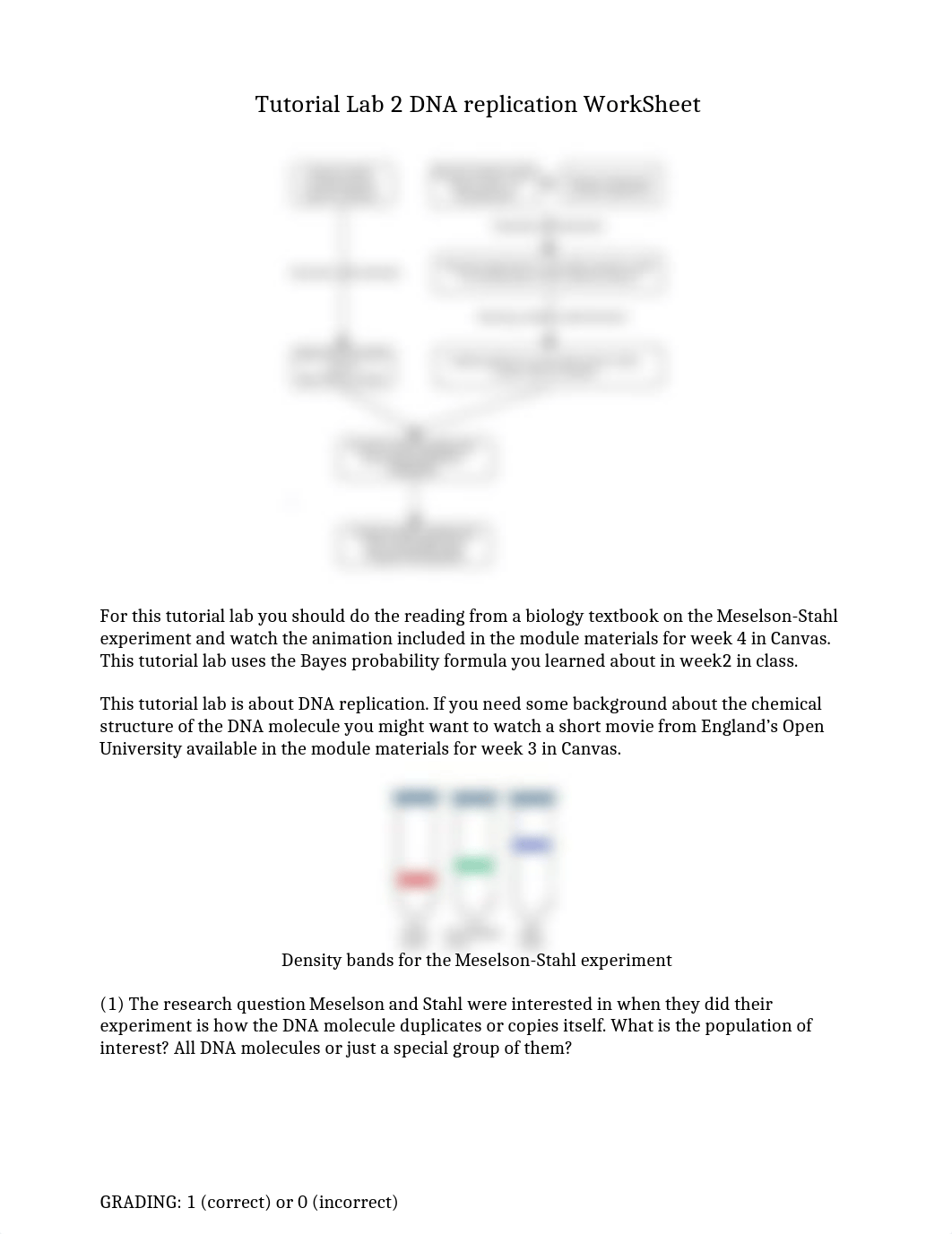 Tutorial Lab 2 Questions.doc_d2qhrtqqlzn_page1