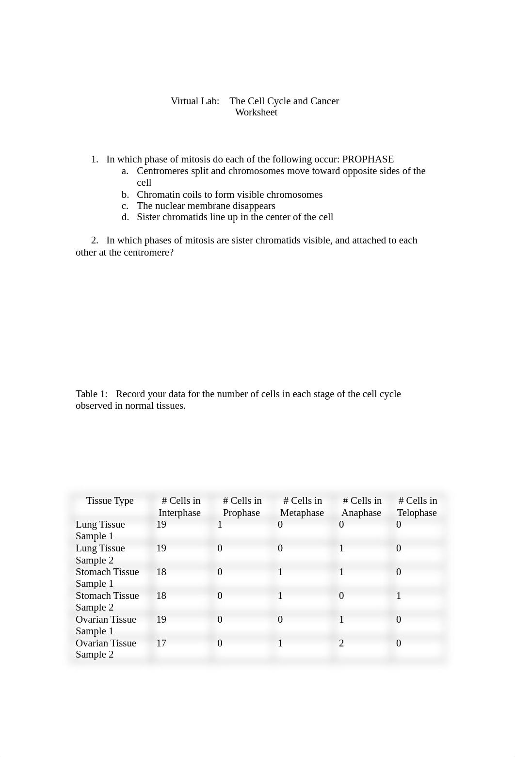 The Cell Cycle and Cancer WorksheetBM (1).docx_d2qjdm0j3bd_page1