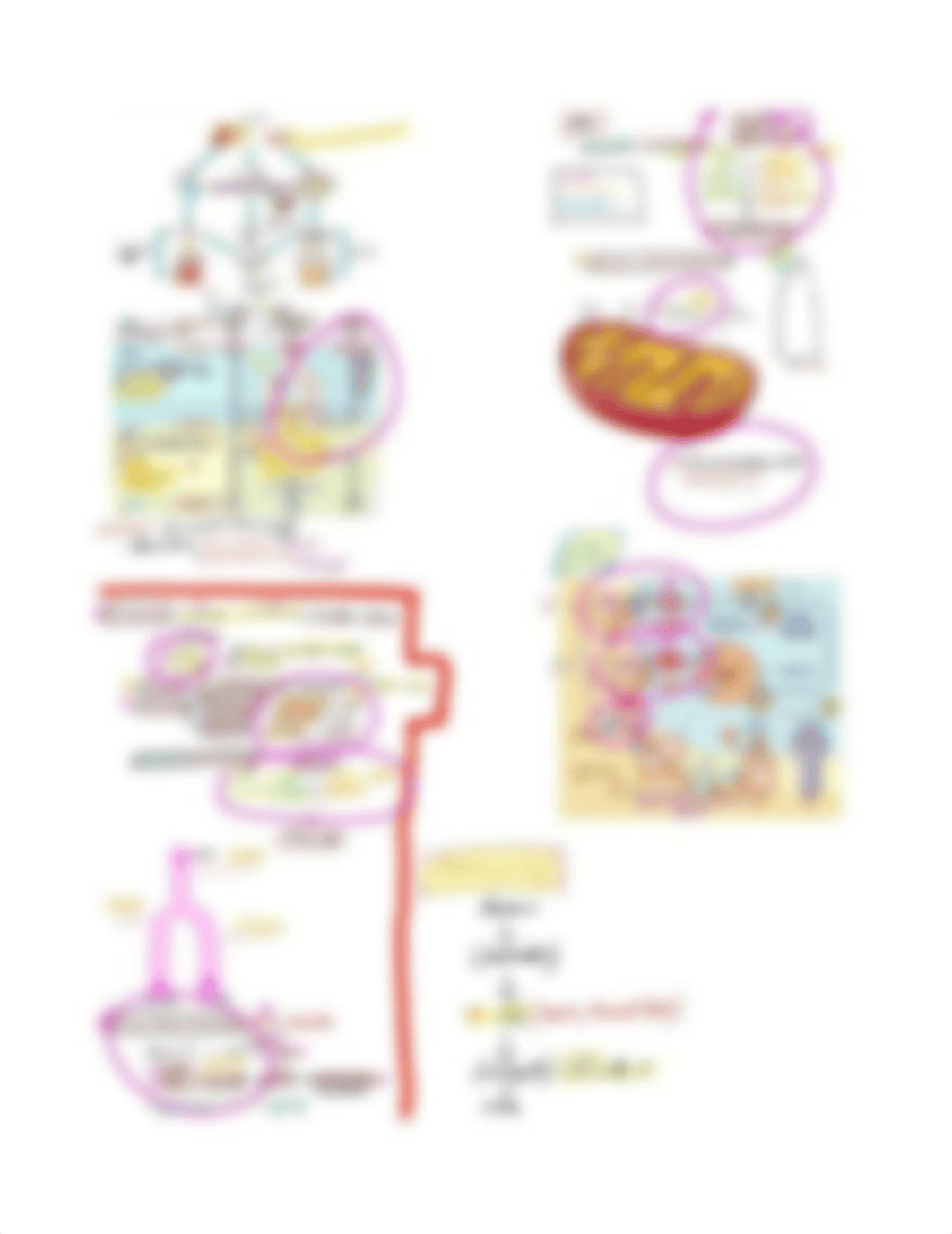 2. DAYA_INTRO TO BIOCHEMISTRY STUDYSHEET (2).pdf_d2qqqg3r8t2_page4