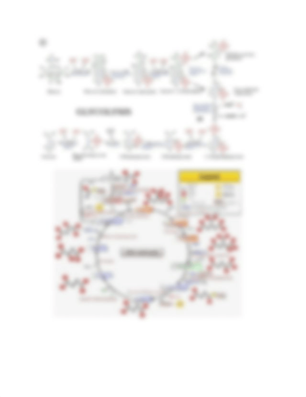 2. DAYA_INTRO TO BIOCHEMISTRY STUDYSHEET (2).pdf_d2qqqg3r8t2_page1