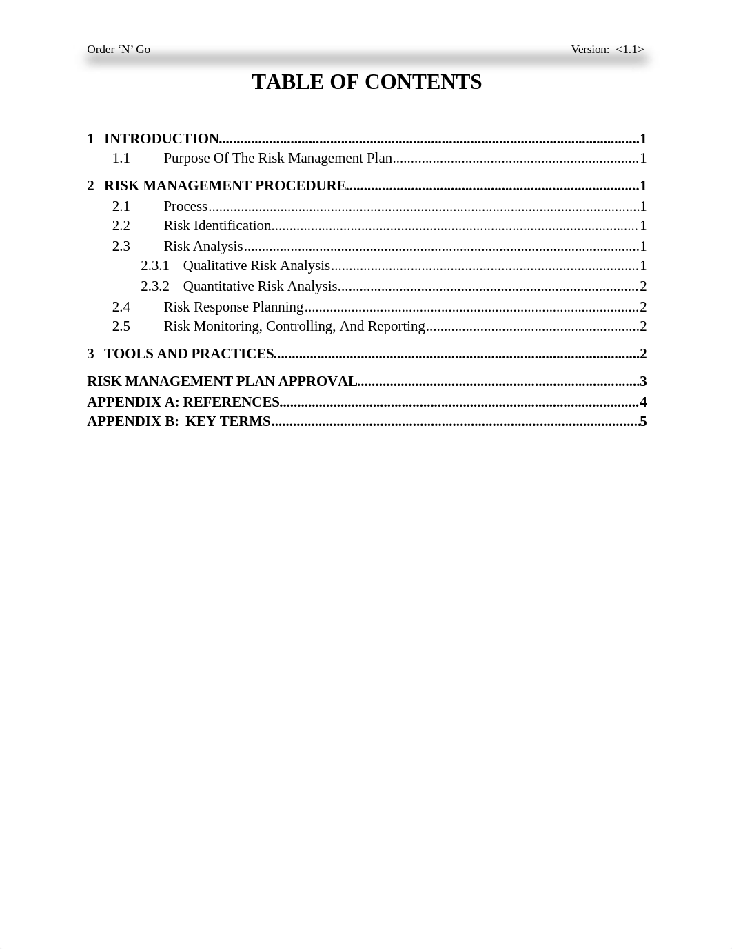 Risk_Management_Plan.doc_d2qrqfohr3s_page3