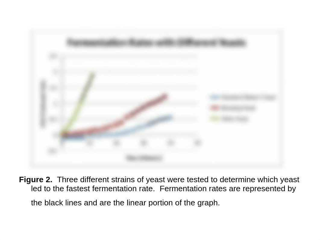 Rate of Fermentation  Lab_d2ra6xksltk_page2