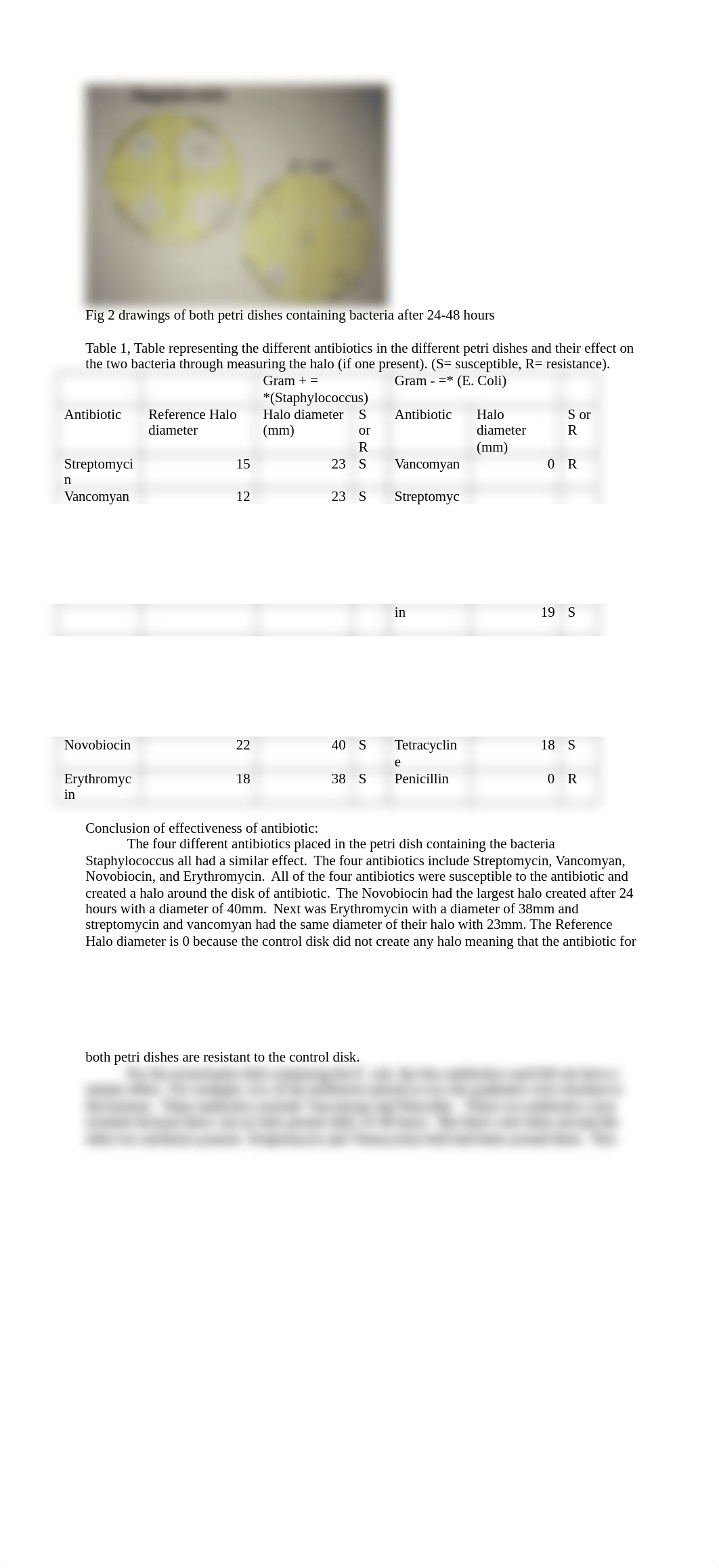 Lab 10.docx_d2rd63hlqwb_page2