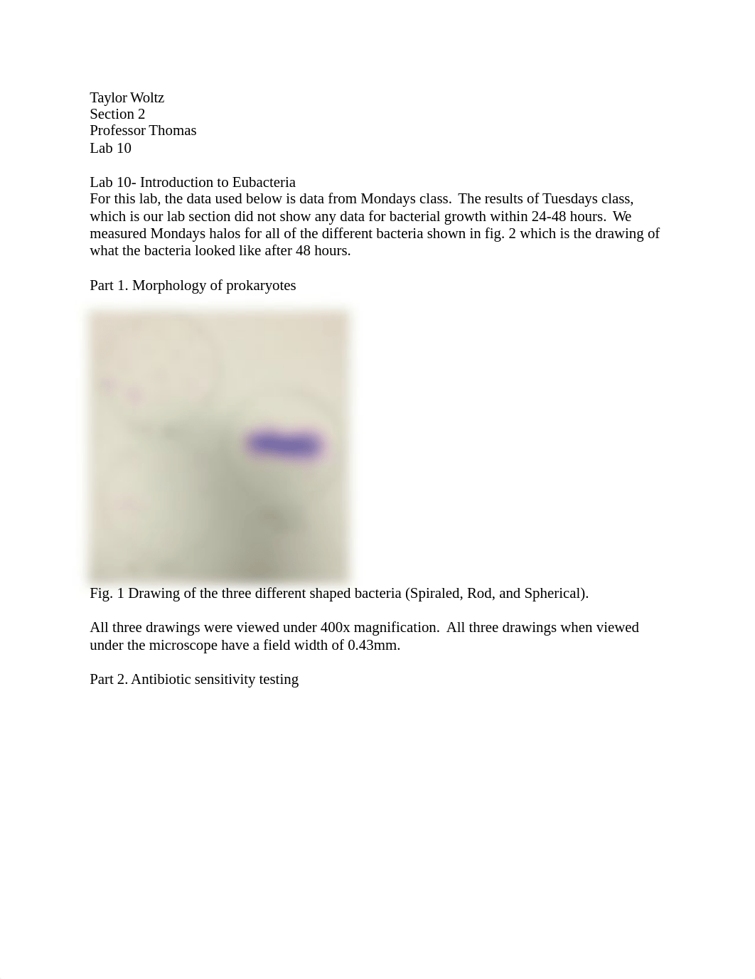 Lab 10.docx_d2rd63hlqwb_page1