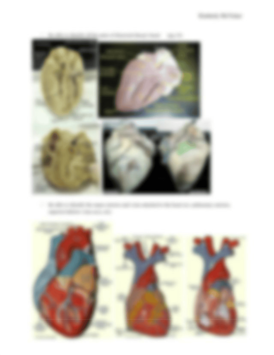 BIOL2102FinalReview (2) (1).docx_d2rjx9mrly0_page3