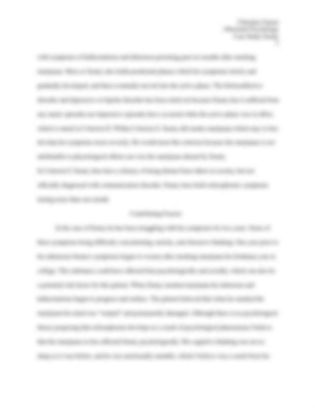 CaseStudySonny.docx_d2rl91w82y4_page3