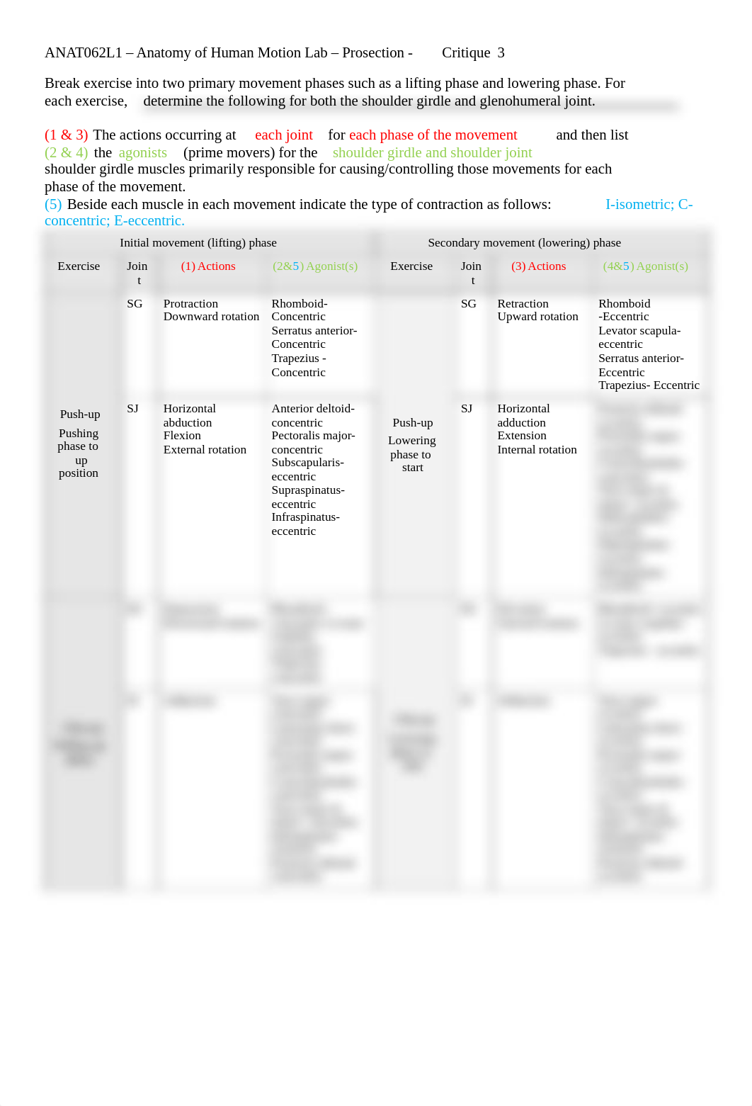 ANAT062L1-Critique3-2.pdf_d2s0ebt6bc1_page1