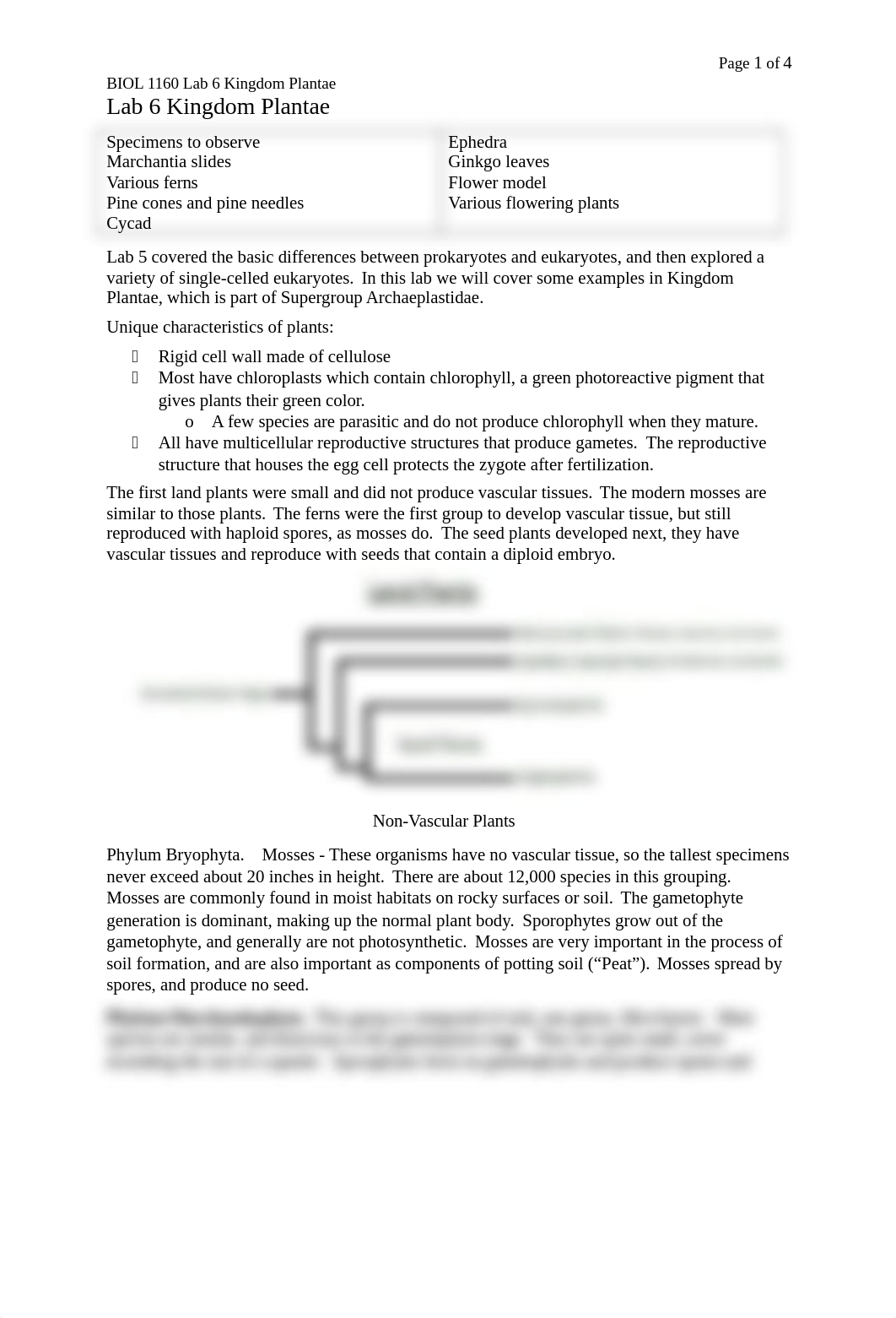 1160 lab 6 Kingdom Plantae_d2s6d0iauex_page1