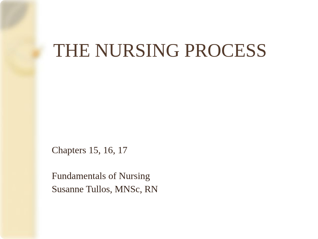 The Nursing Process 2sv.pptx_d2s7gyc78pq_page1