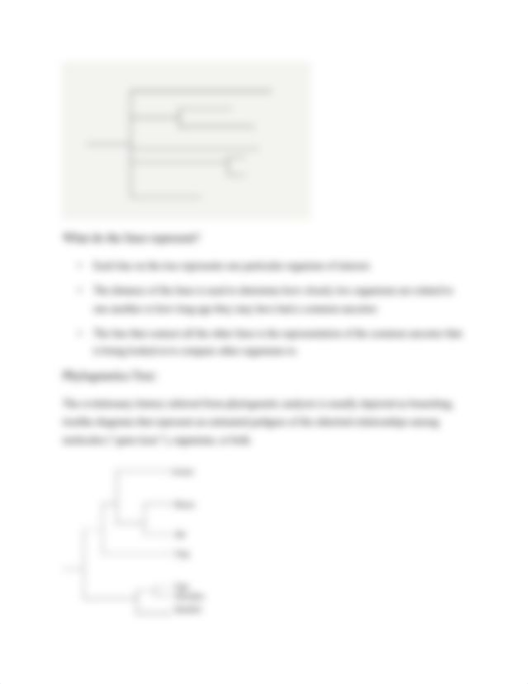 Phylogenetics assignment.docx_d2s8lbgg024_page3