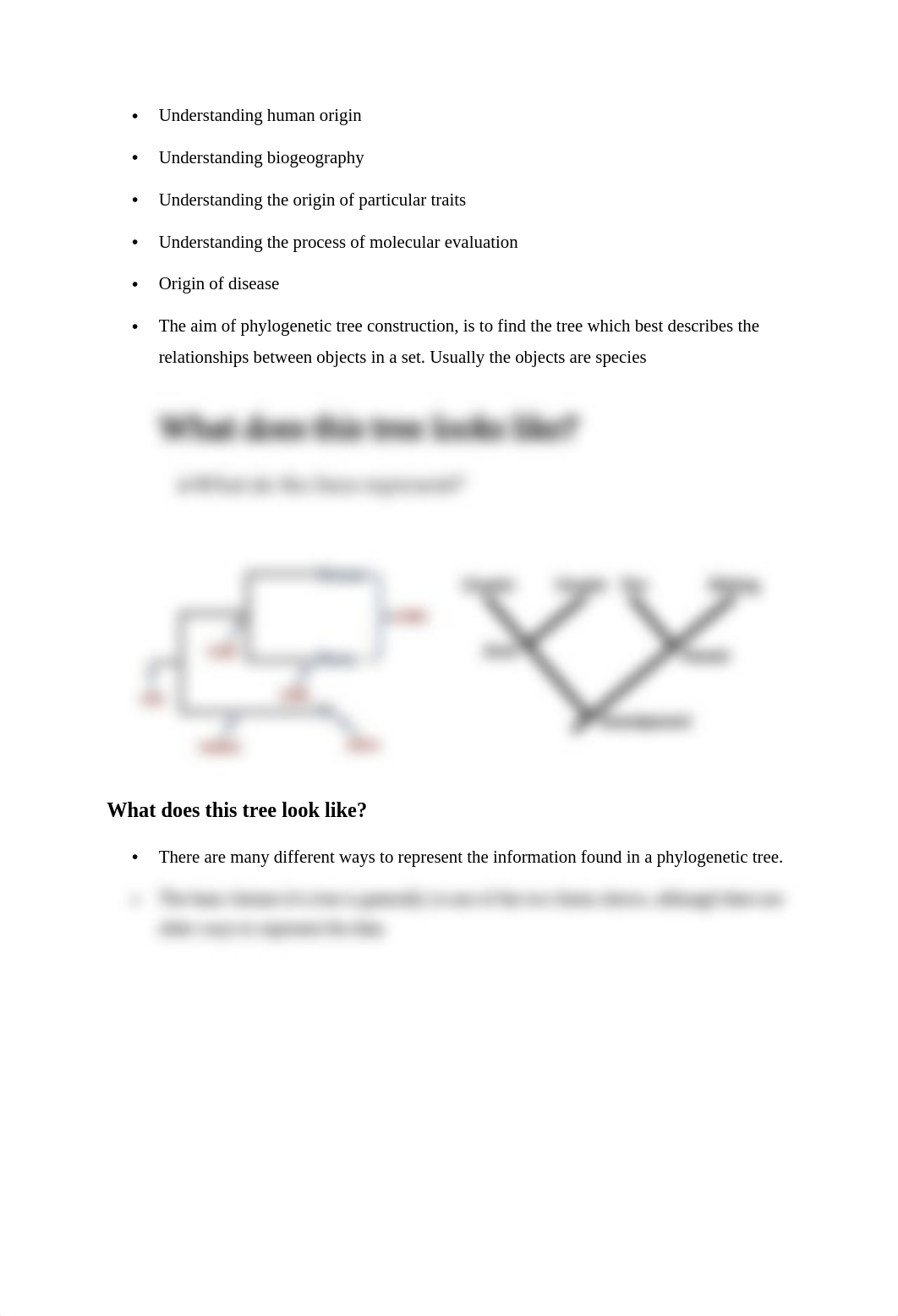 Phylogenetics assignment.docx_d2s8lbgg024_page2