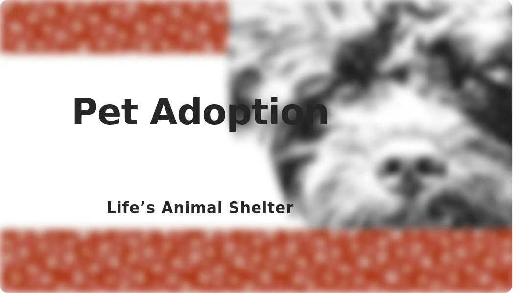 PetAdoption-04 - Independent Proj.pptx_d2sa0gp5fhb_page1