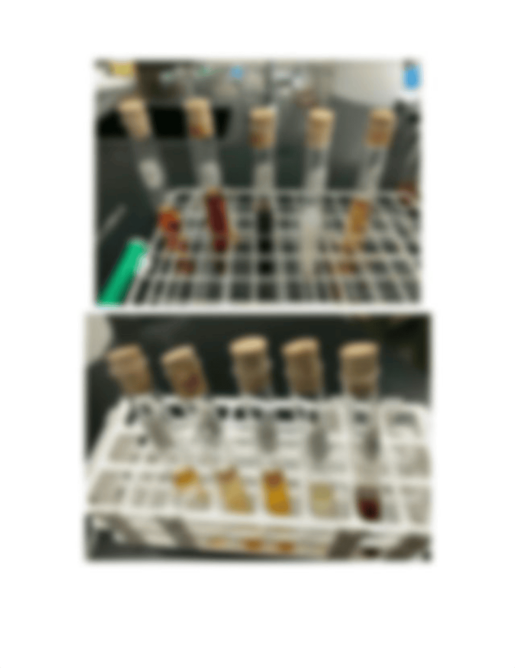 Le Chatelier's Principle lab report.docx_d2set61eb7m_page2