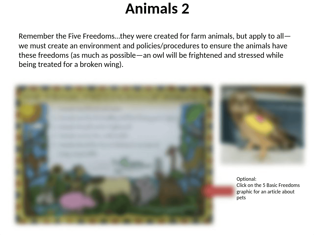 VET180E_Week03_PPT_AnimalManagement.pptm_d2sjxj4irua_page3