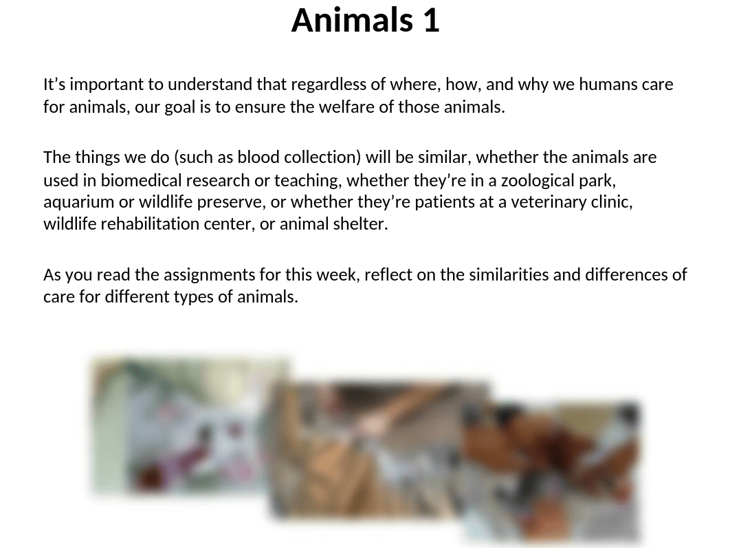 VET180E_Week03_PPT_AnimalManagement.pptm_d2sjxj4irua_page2