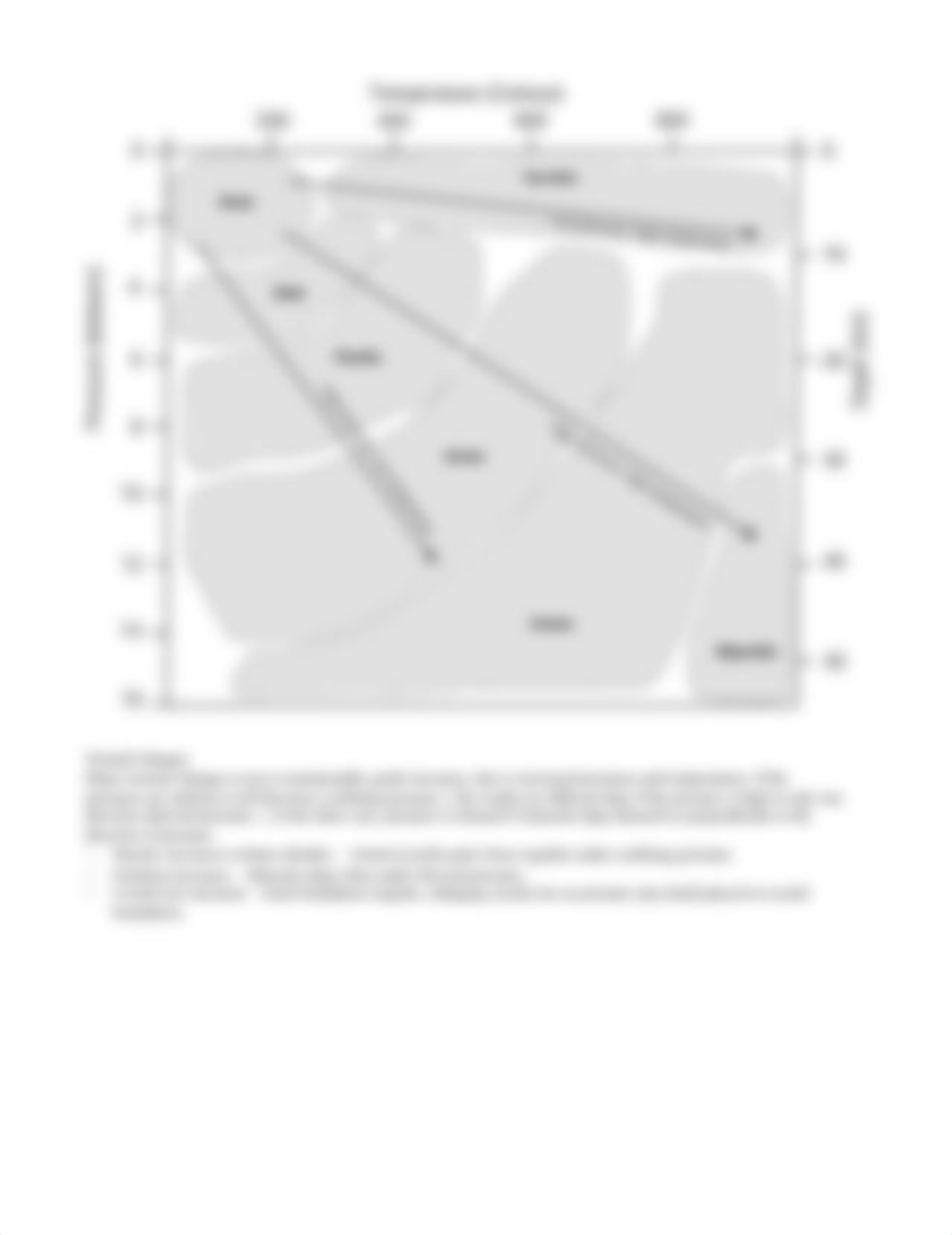 Lab 7 - Metamorphic Rocks.docx_d2szq44556r_page3