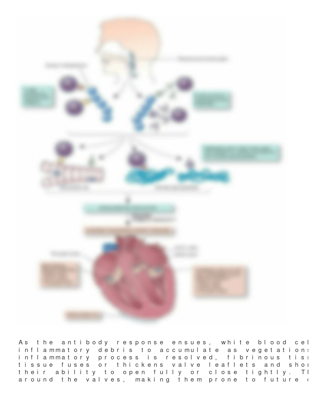 np 125.5.02.01.docx_d2t0hk0gcog_page2