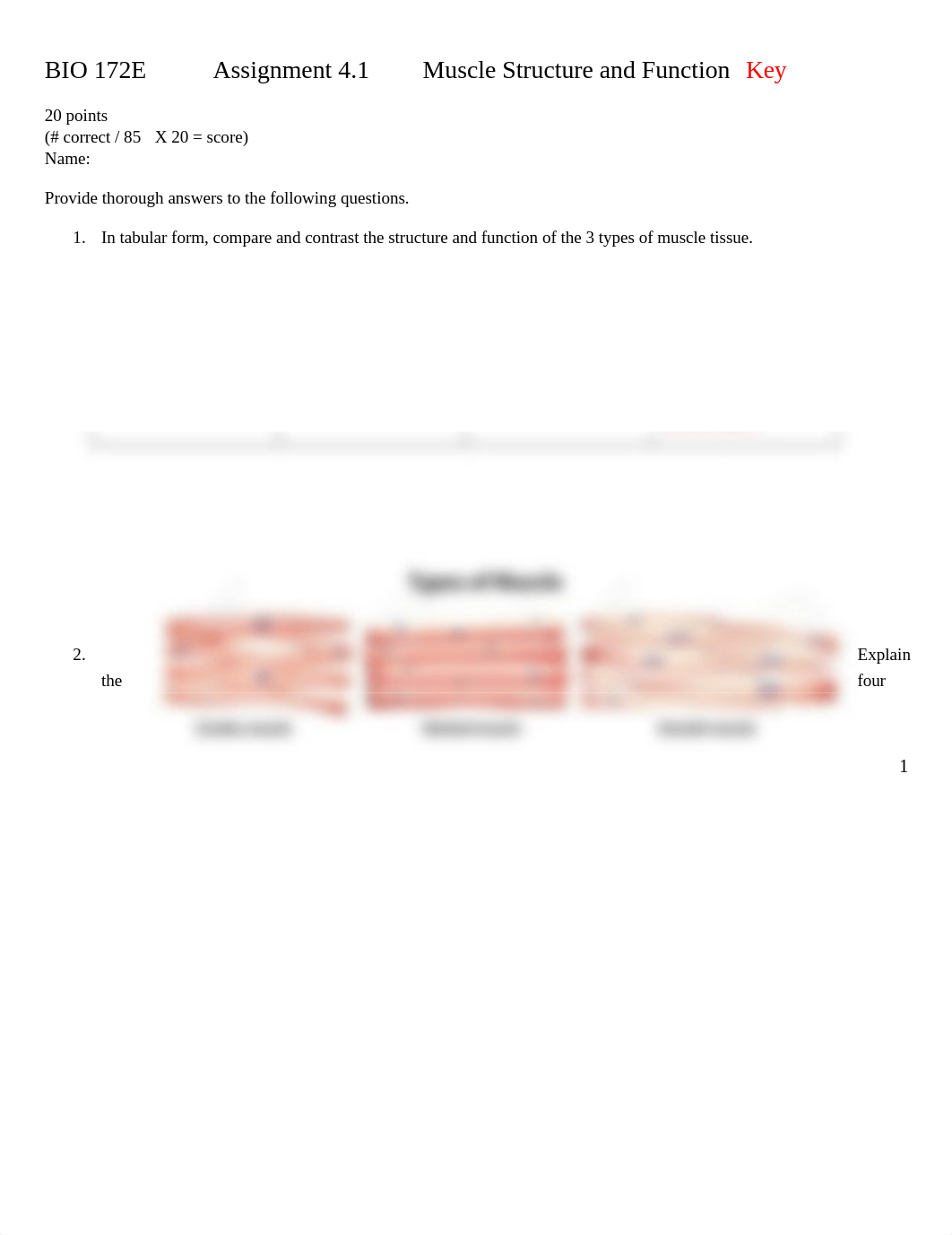 ASSN 4.1 MUSCLE STRUCTURE AND FUNCTION KEY.docx_d2t3wym3urj_page1