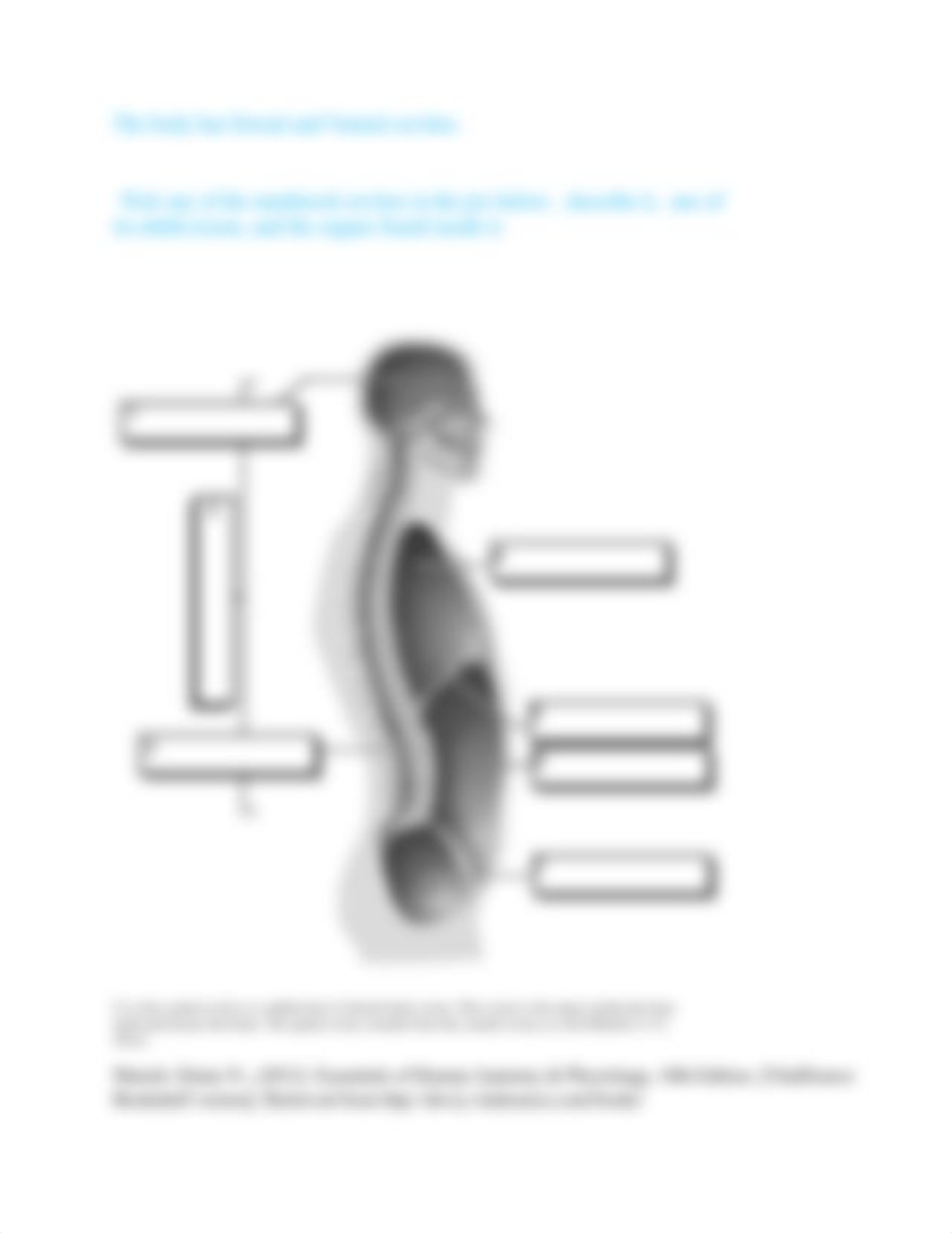 Anatomical Terminology-Discussion #1_d2tdfkbepeh_page2