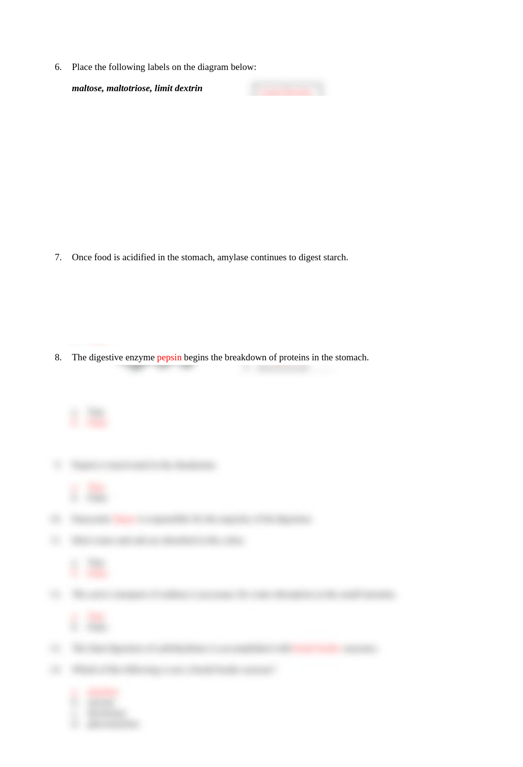 IP Animation Enzymatic Digestion and Absorption.docx_d2th1hbof9r_page2