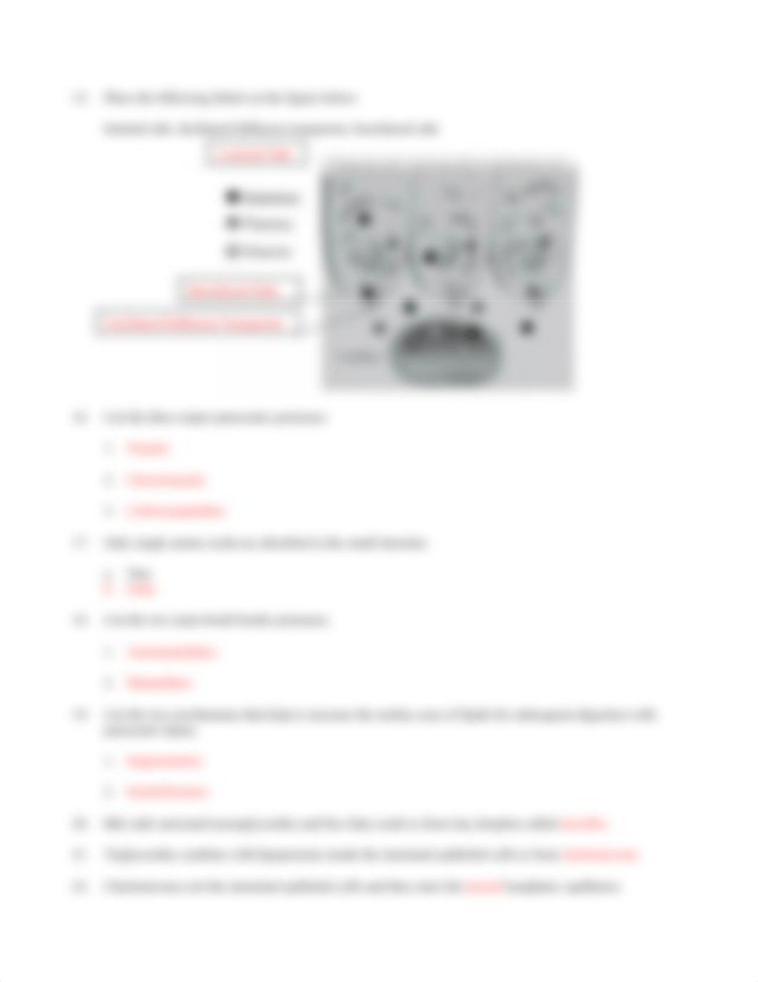 IP Animation Enzymatic Digestion and Absorption.docx_d2th1hbof9r_page3