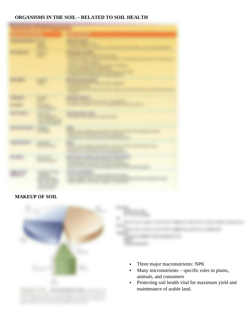 Final Exam Study Guide NST2.docx_d2tivfqqcn2_page2