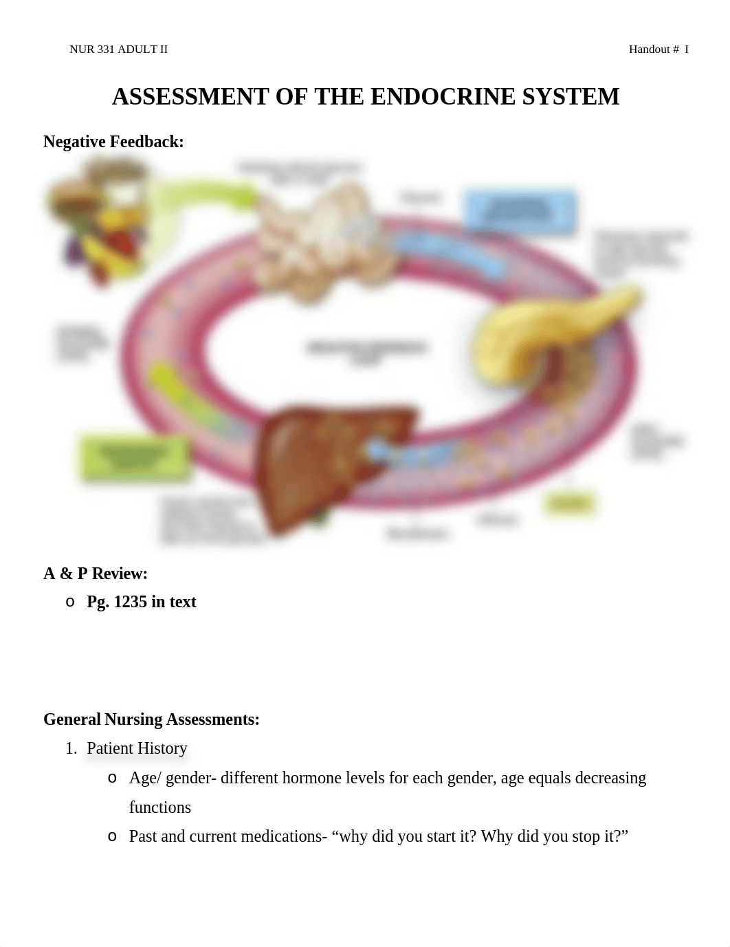 Endocrine_Handout.doc_d2tle3hyd86_page1