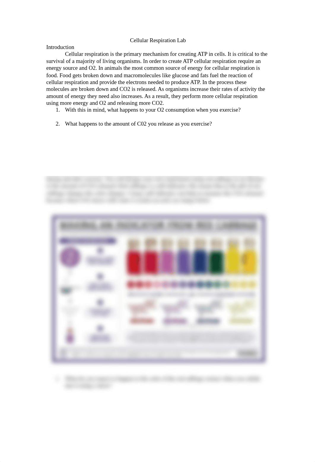 Cellular respiration lab handout-3.docx_d2trkcvpddz_page1