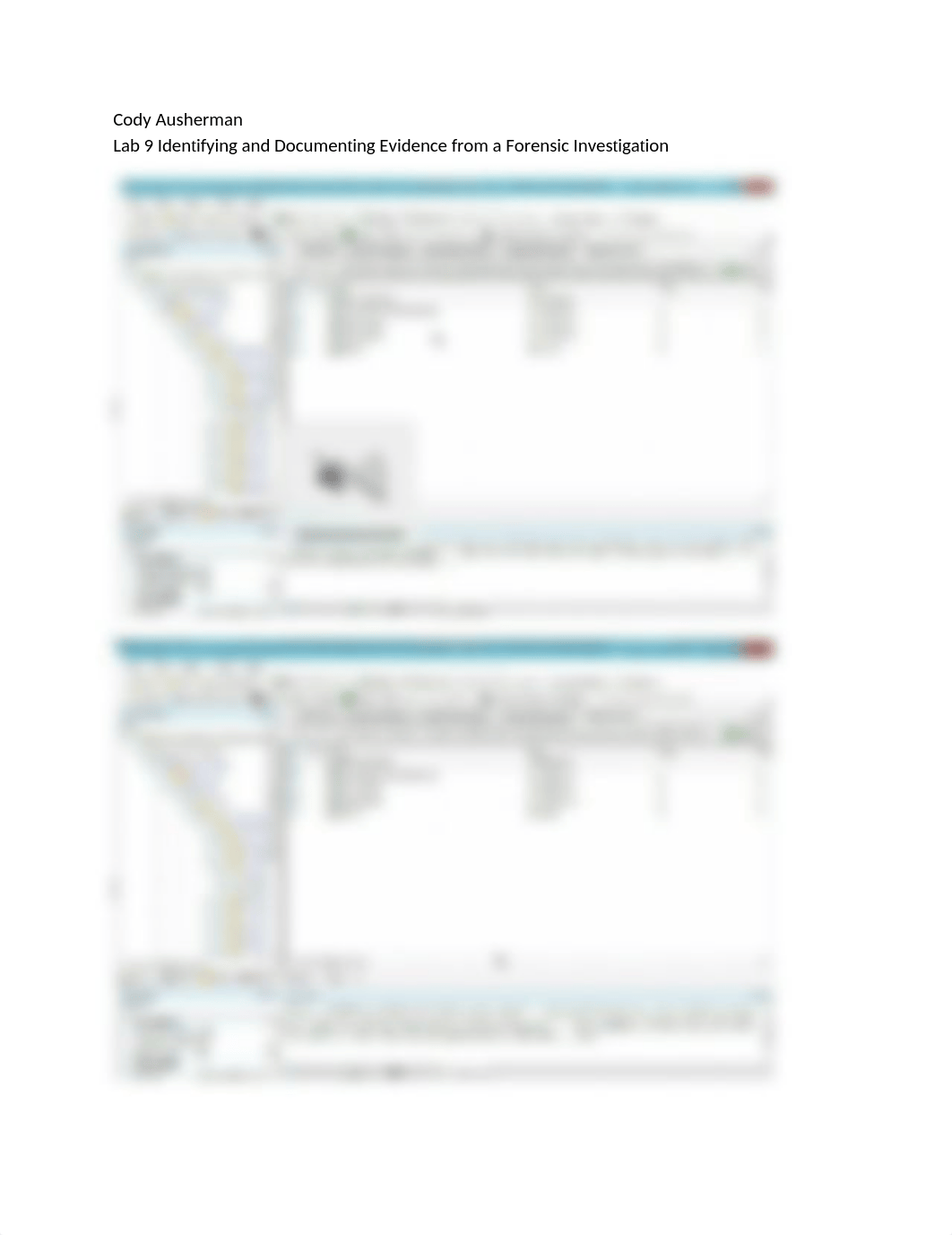 Lab 9 Identifying and Documenting Evidence from a Forensic Investigation_d2tro5gw7ls_page1