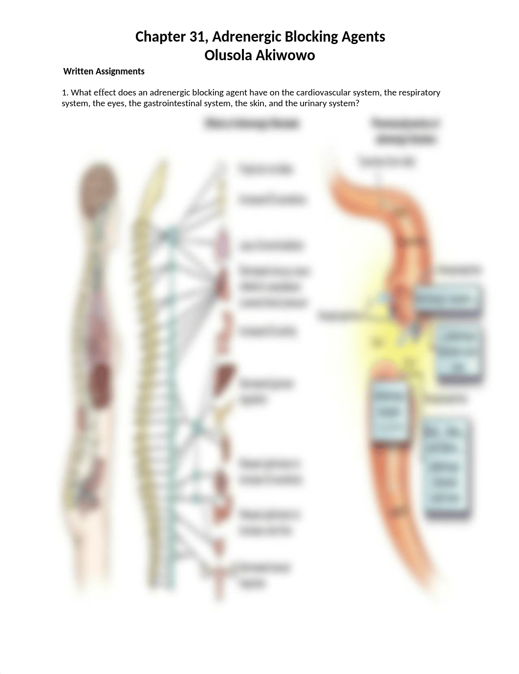 Chapter 31, Adrenergic Blocking Agents_d2tylv48uzc_page1