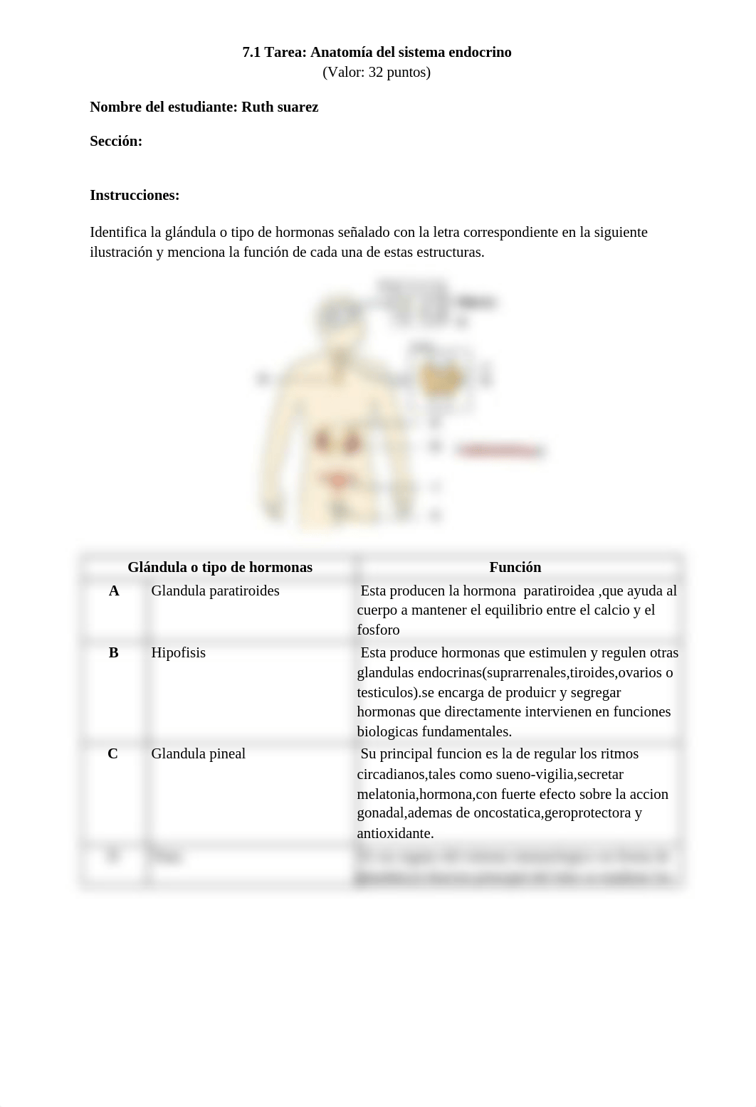 M7_ANATOMIA_DEL_SISTEMA_ENDOCRINO_TAREA_7-1.docx_d2u05qad7qn_page1